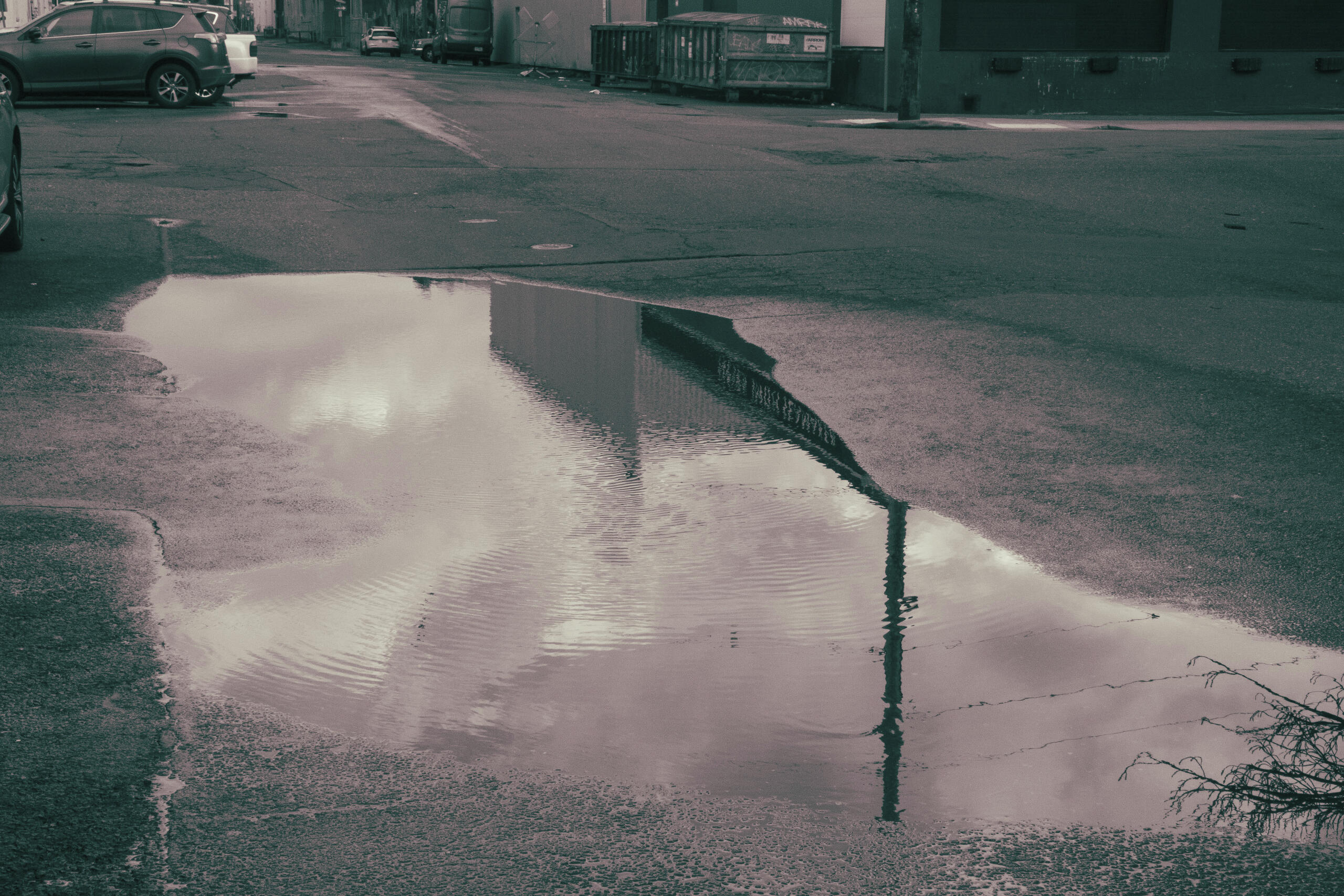Street Puddle